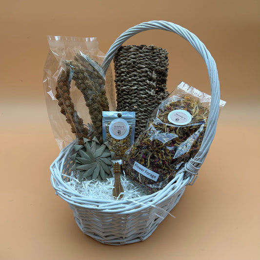 Gerbil Subscription Box