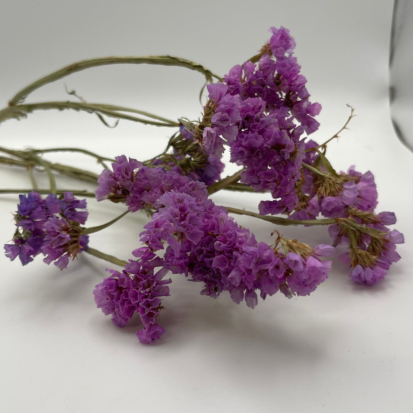 Purple Statice Flowers