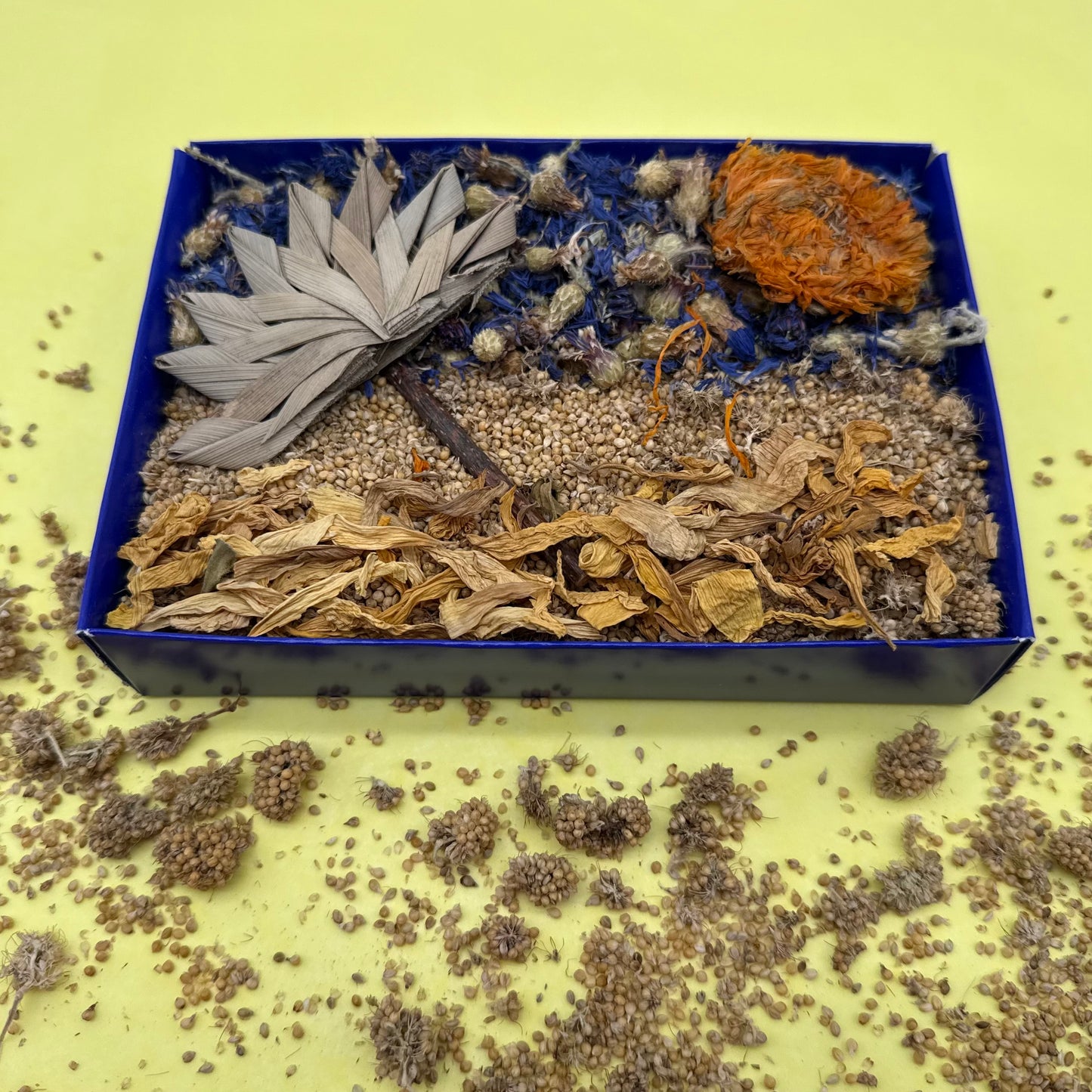 Seaside Forage Box