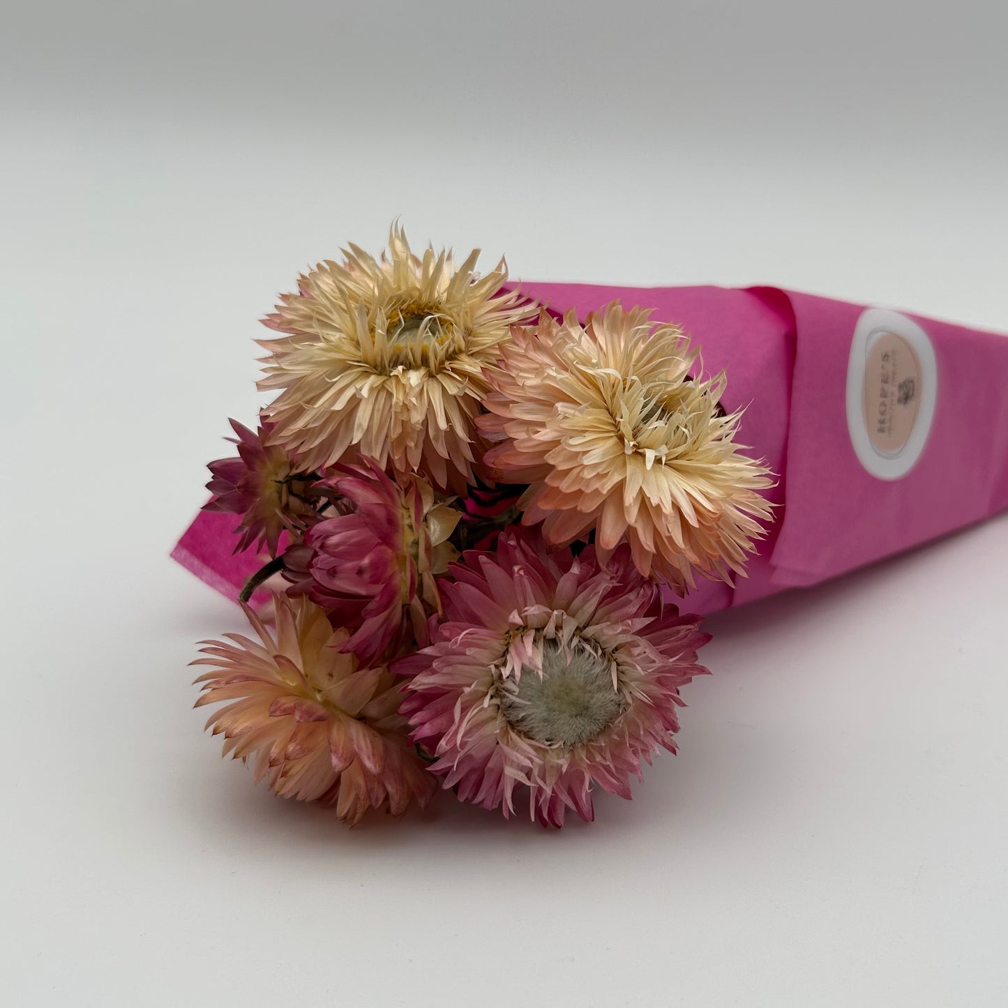 Strawflowers (Mixed Pink)