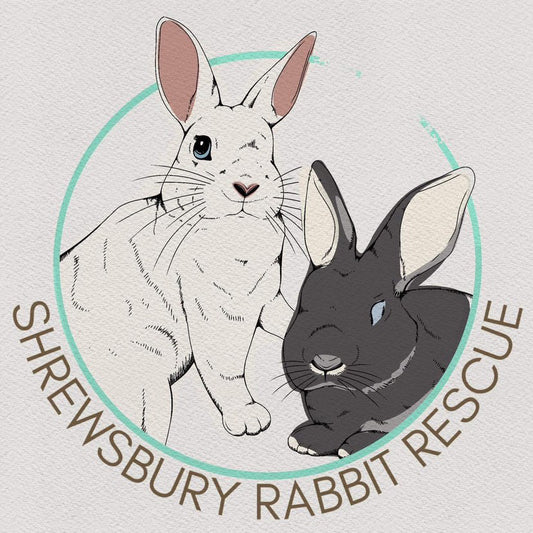 Donation Box for The Shrewsbury Rabbit Rescue