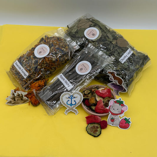 Mouse Subscription Box