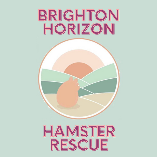 Donation Box for The Brighton Horizon Hamster Rescue