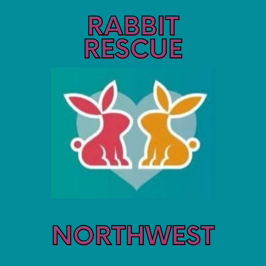 Donation Box for The Rabbit Rescue Northwest