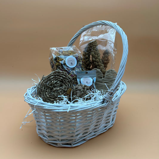 Mouse Subscription Box