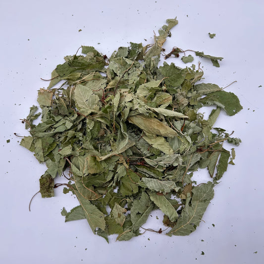 Apple Leaves
