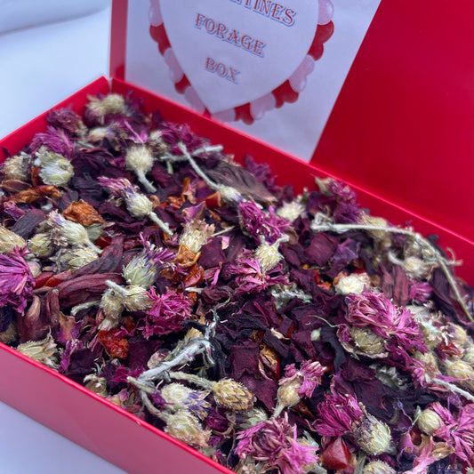 Valentines Forage Box