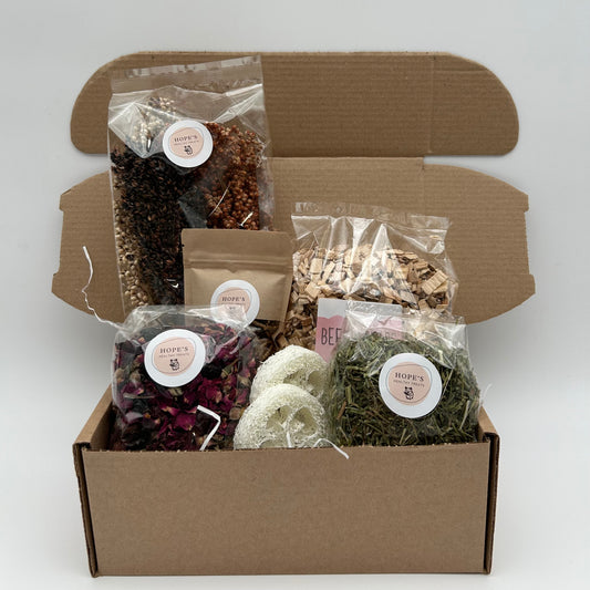 Hamster Subscription Box