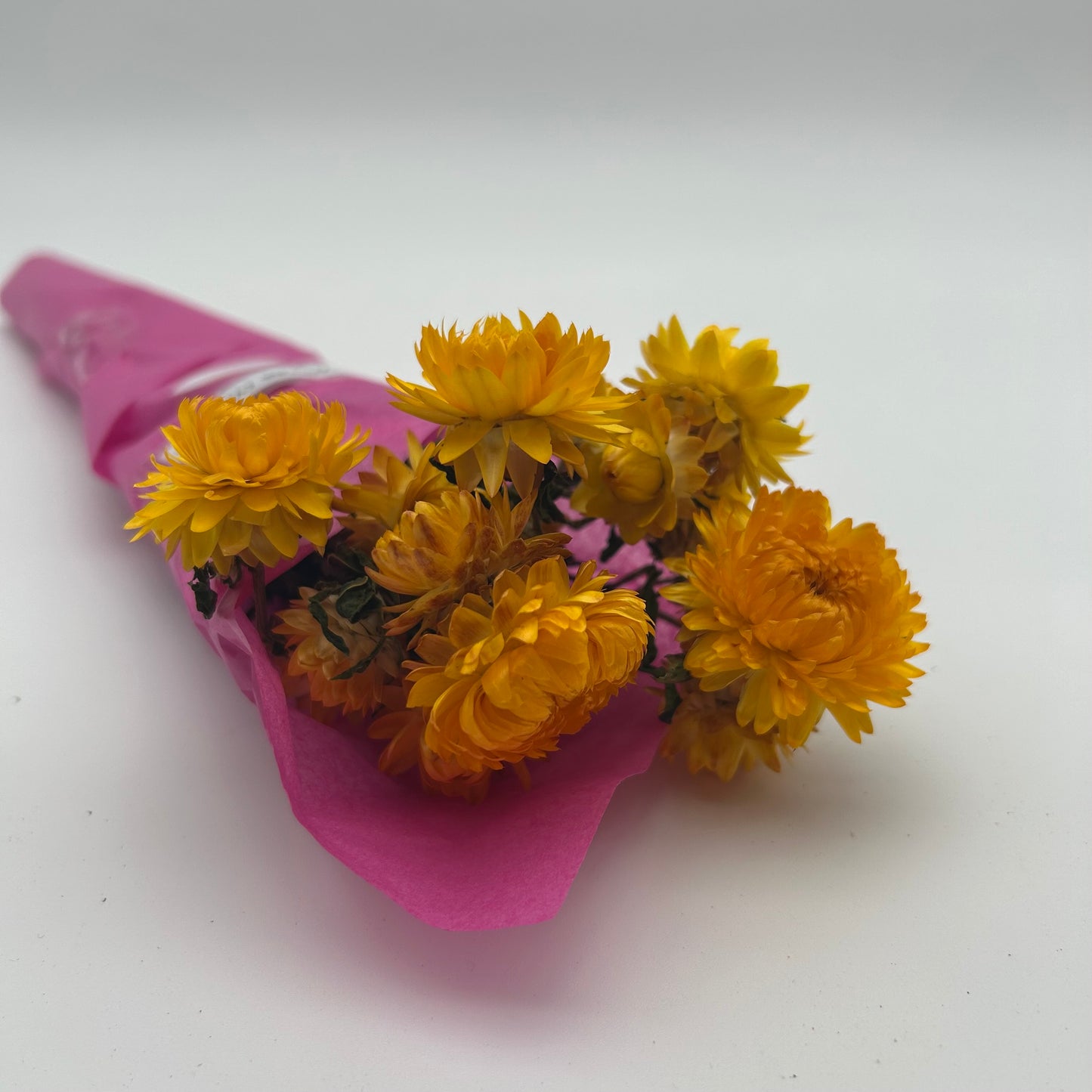 Strawflowers (Yellow)