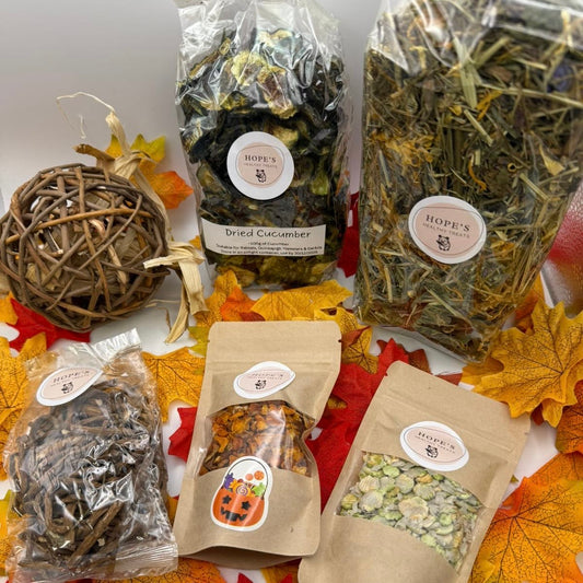 Guineapig Subscription Box
