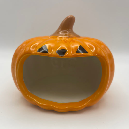 Pumpkin Ceramic Hide