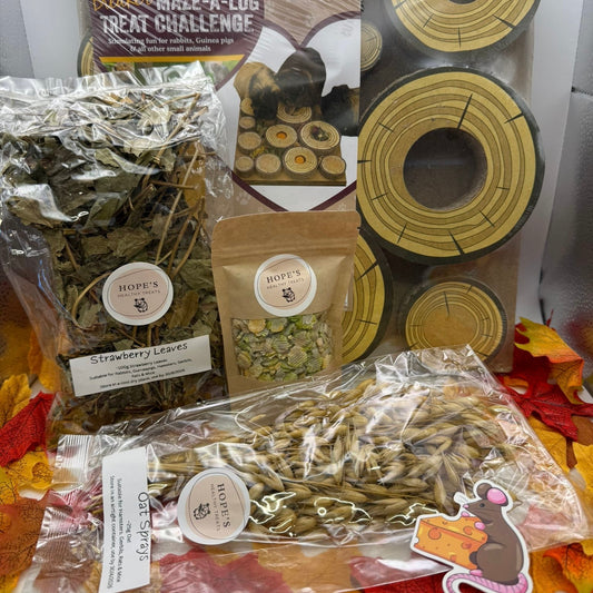 Rat Subscription Box