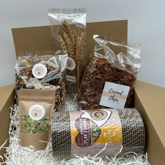 Mouse Subscription Box