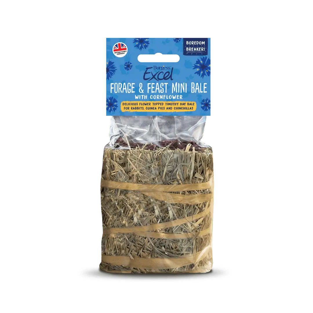 Burgess Excel Forage & Feast Mini Bale with cornflower – Hope's Healthy ...