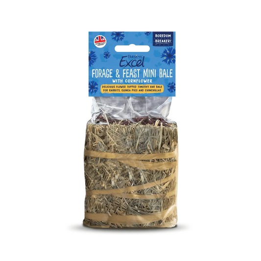Burgess Excel Forage & Feast Mini Bale with cornflower