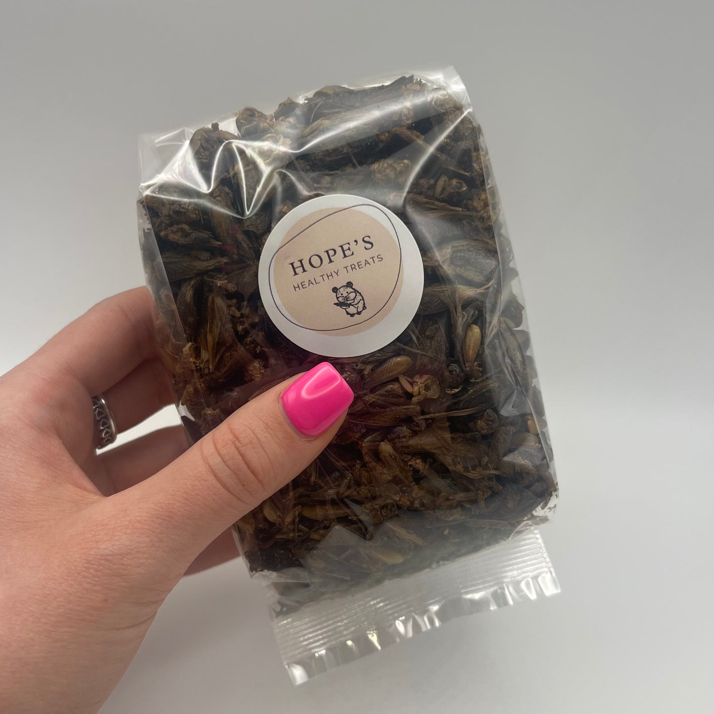 Hog’s Dried Crickets