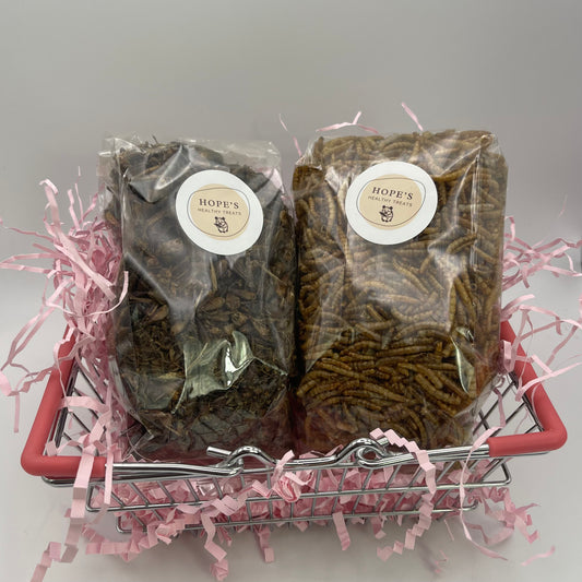 BASKET OF THE WEEK