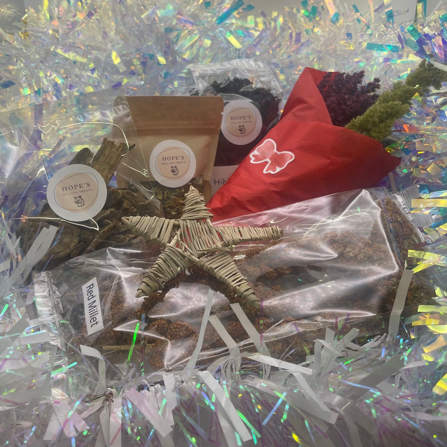 Gerbil Subscription Box