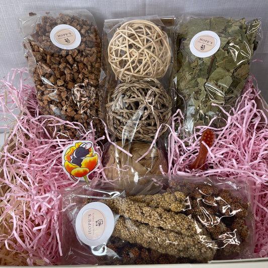 Rat Subscription Box
