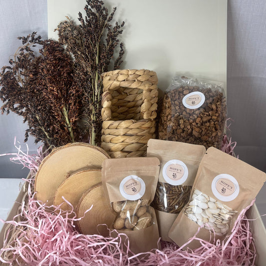 Gerbil Subscription Box
