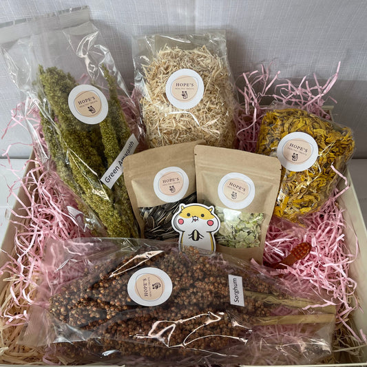 Hamster Subscription Box