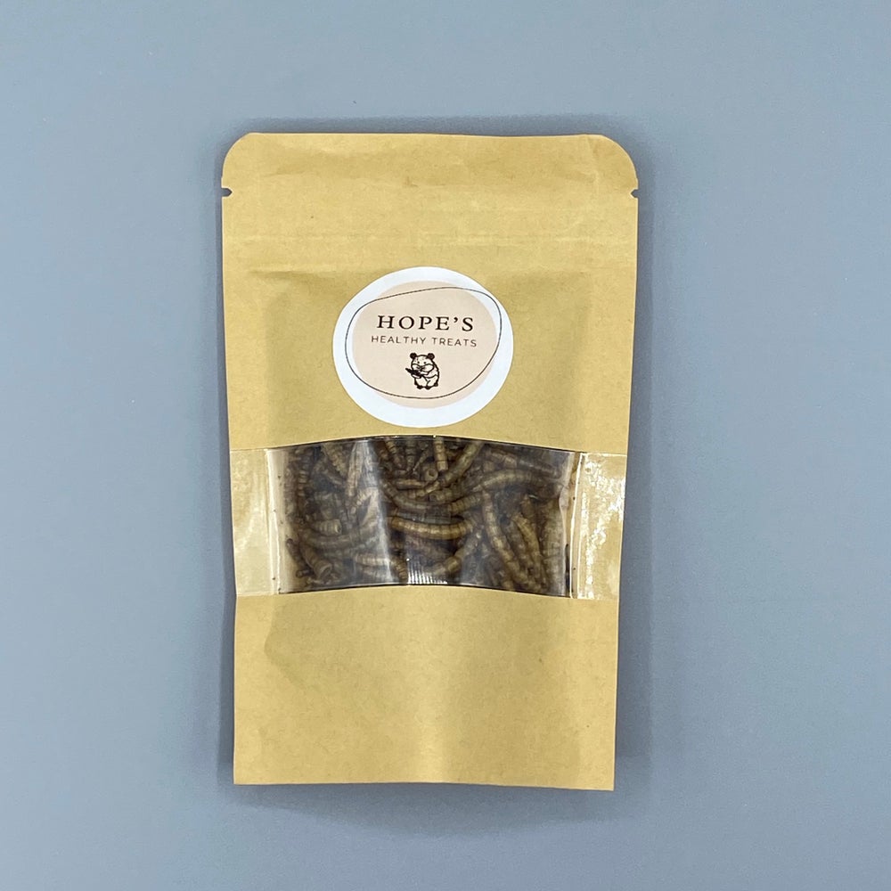 Dried Mealworms