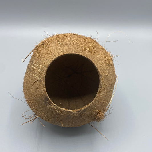 Coconut Hide