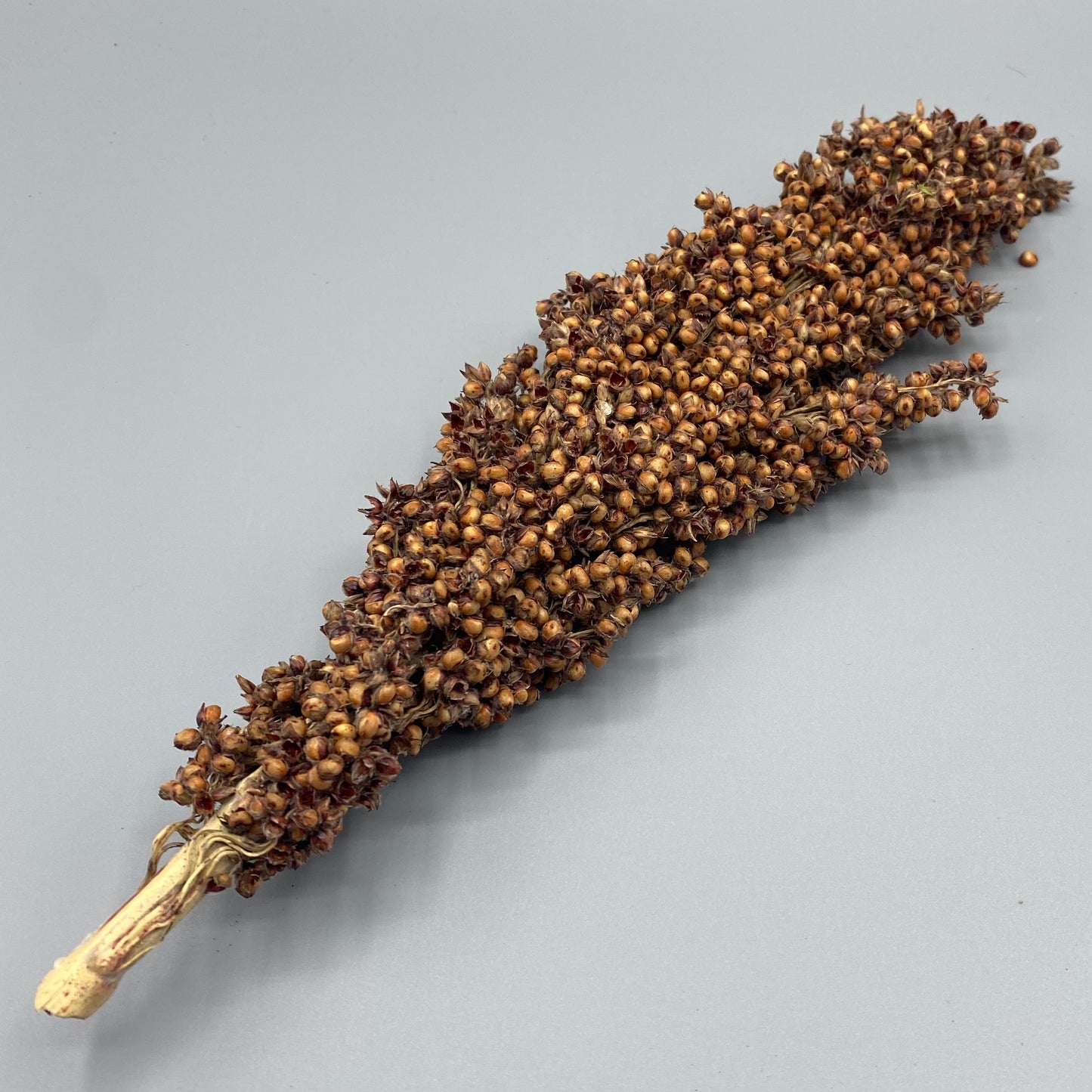 Sorghum Spray